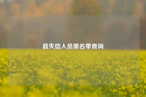 县失信人员黑名单查询